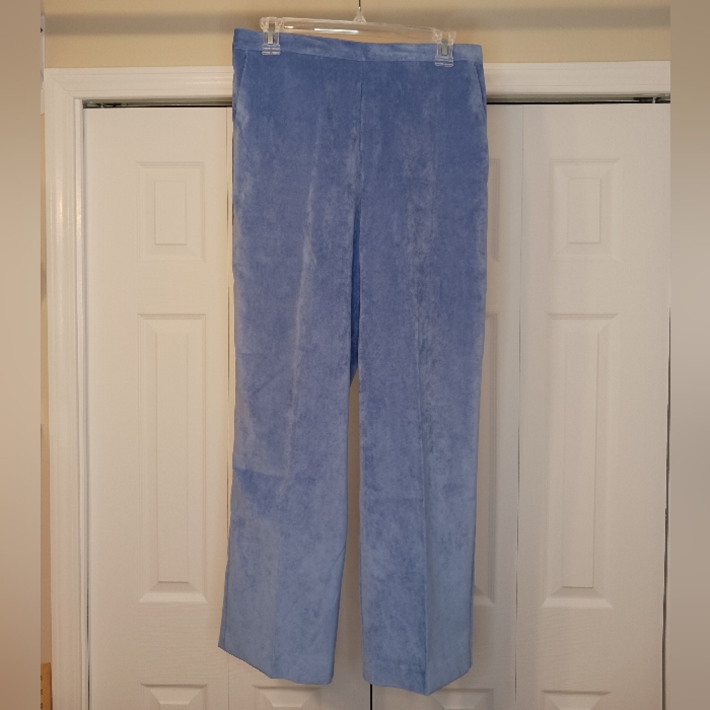 #257 3/$18 - Alfred Dunner Blue pants Size 10